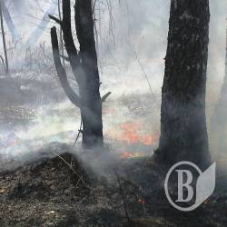 В течение прошлых выходных спасатели ликвидировали 24 пожара в экосистемах В течение прошлых выходных спасатели ликвидировали 24 пожара в экосистемах